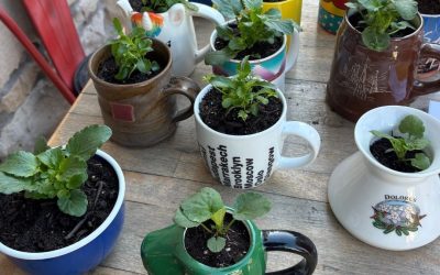 Changemakers: Submit Your Climate Session for #WSSW25