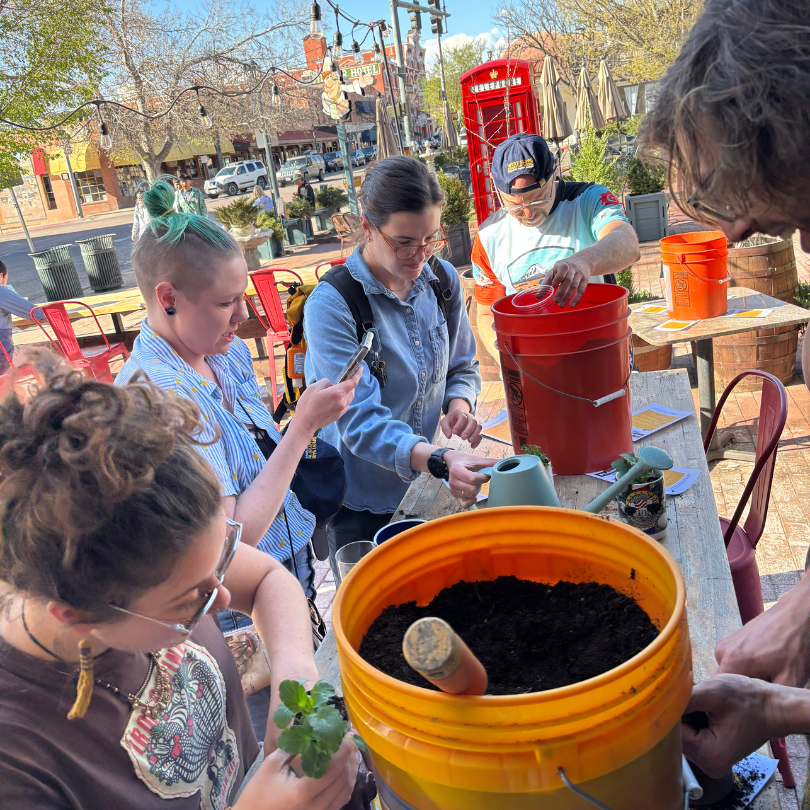 a group of people working on potting plants outside